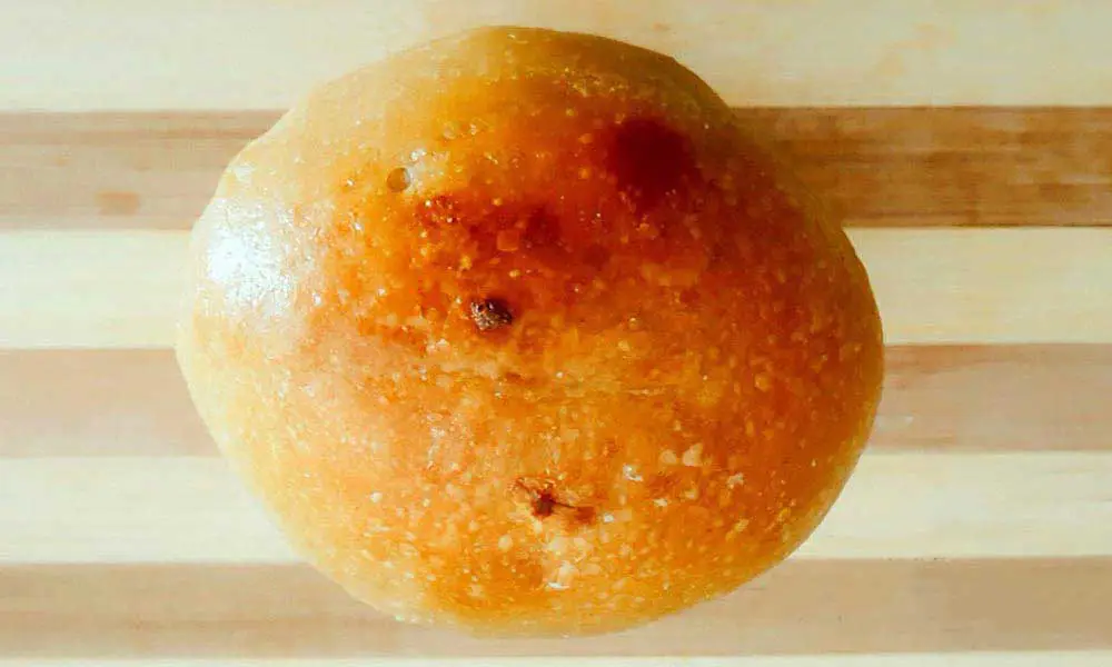 Whole-Wheat-Burger-Bun