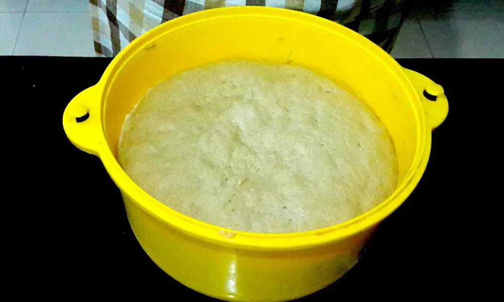 Homemade-Sandwich-Bread-dough-after-first-rise