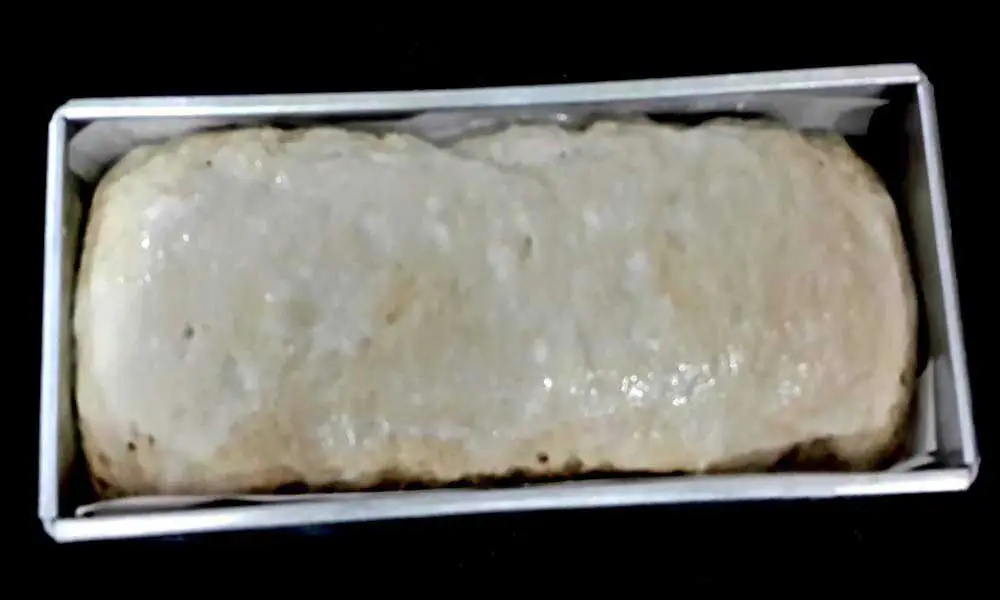 Homemade-Sandwich-Bread-dough-after-second-rise