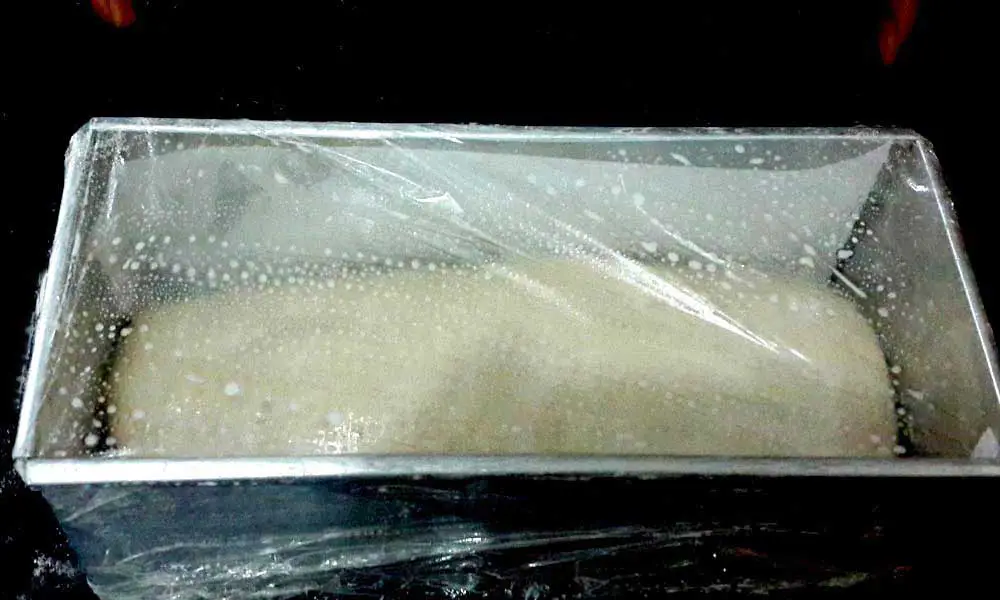 Multigrain-Sandwich-Bread-dough-before-second-rise