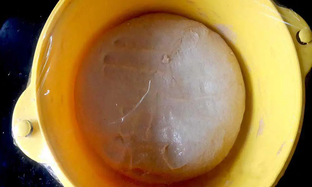 Multigrain-Sandwich-Bread-dough