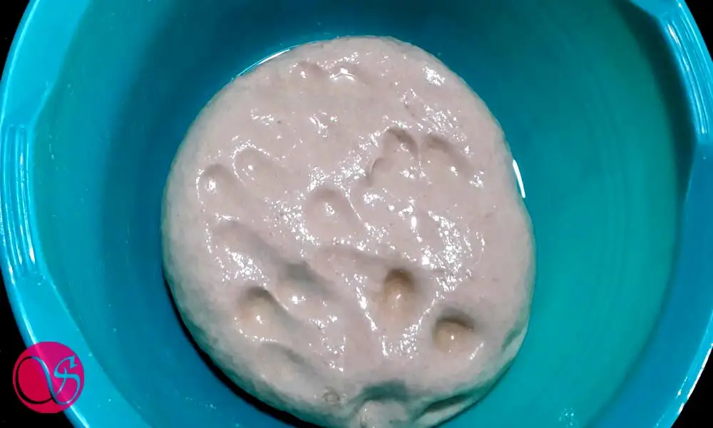 Dough before rise Braided Nutella Rolls