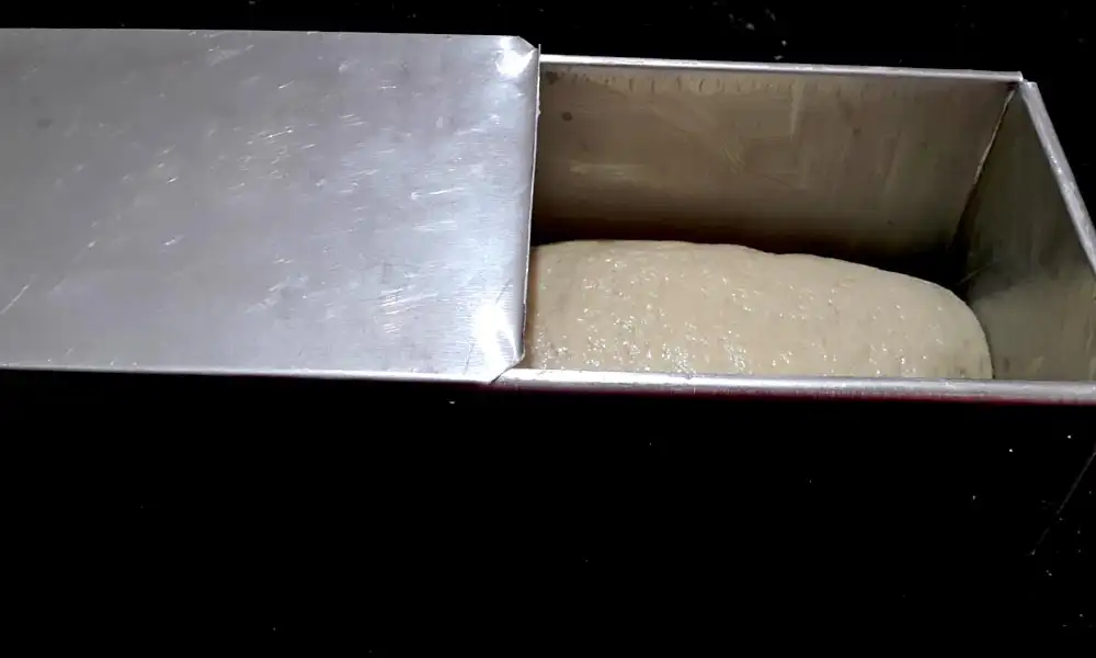 50 50 bread Shaped dough