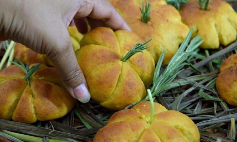 Read more about the article Pumpkin Dinner Rolls with Whole Wheat: A Perfect Halloween Treat