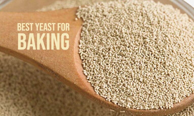 Read more about the article Buy Best Yeast for Bread