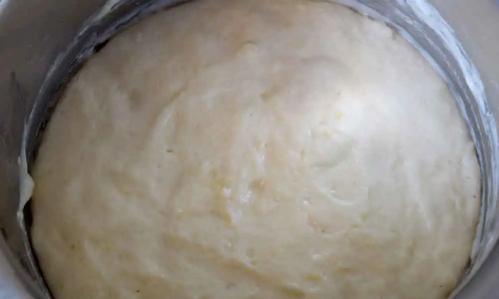 Yeasted-lemon-cake-batter