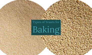 Types of Yeast for Bread Making
