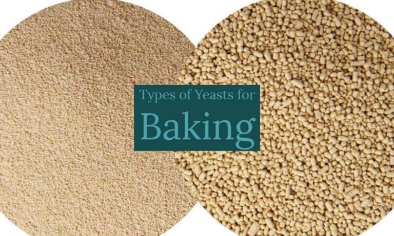 Read more about the article Types of Yeast for Bread Making